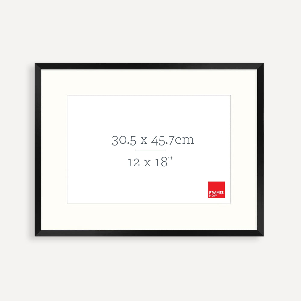 Premium Black Box Style Picture Frame with Matboard for 45.7 x 30.5cm Artwork