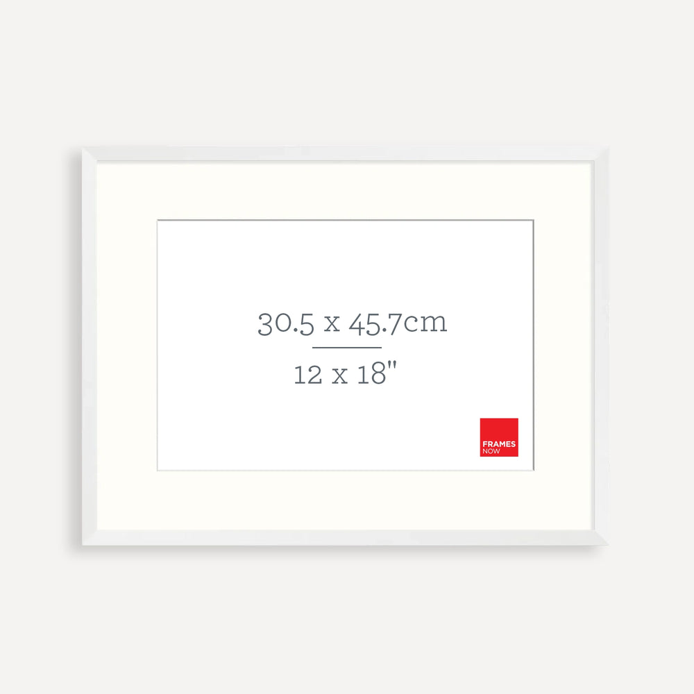 Premium Matte White Box Picture Frame with Matboard for 45.7 x 30.5cm Artwork