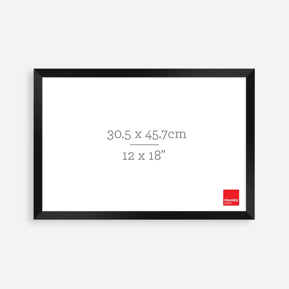 Premium Matte Black Box Picture Frame for 45.7 x 30.5cm Artwork