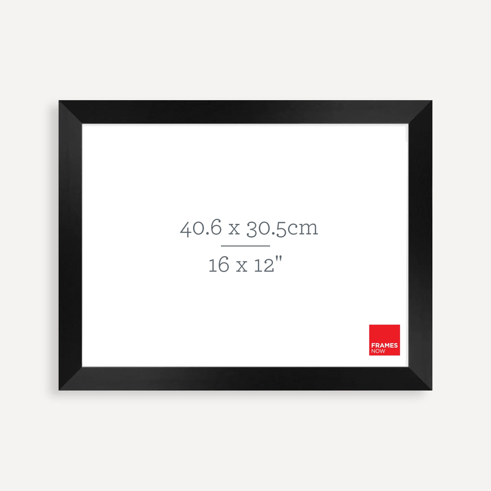 Premium Black Timber Finish Picture Frame for 40.6 x 30.5cm Artwork
