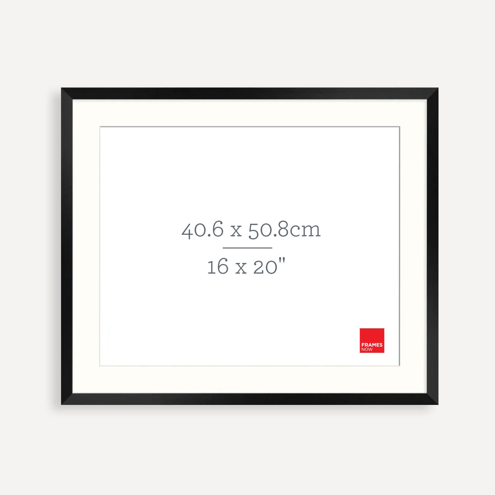 Premium Matte Black Box Picture Frame with Matboard for 50.8 x 40.6cm Artwork