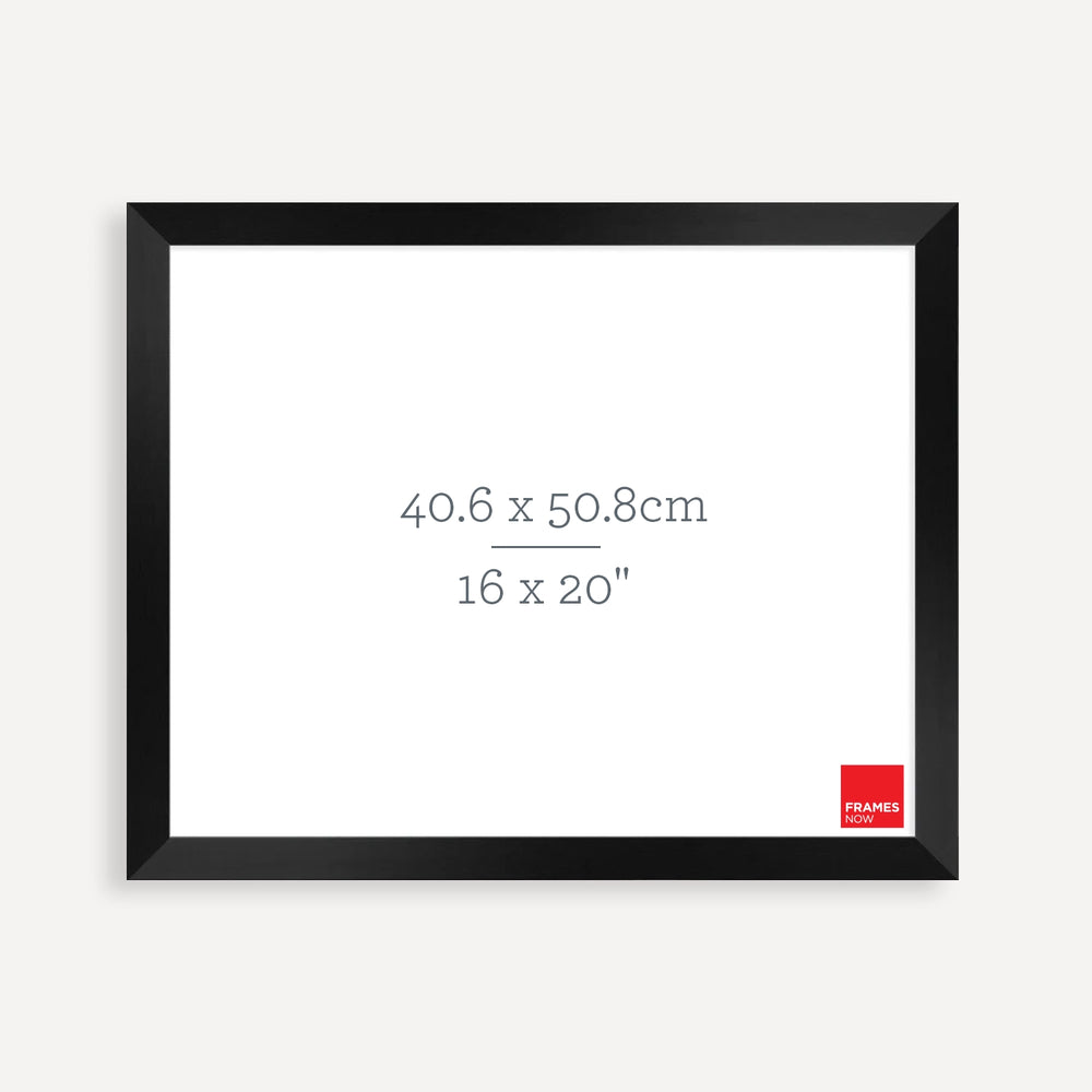 Premium Black Timber Finish Picture Frame for 50.8 x 40.6cm Artwork
