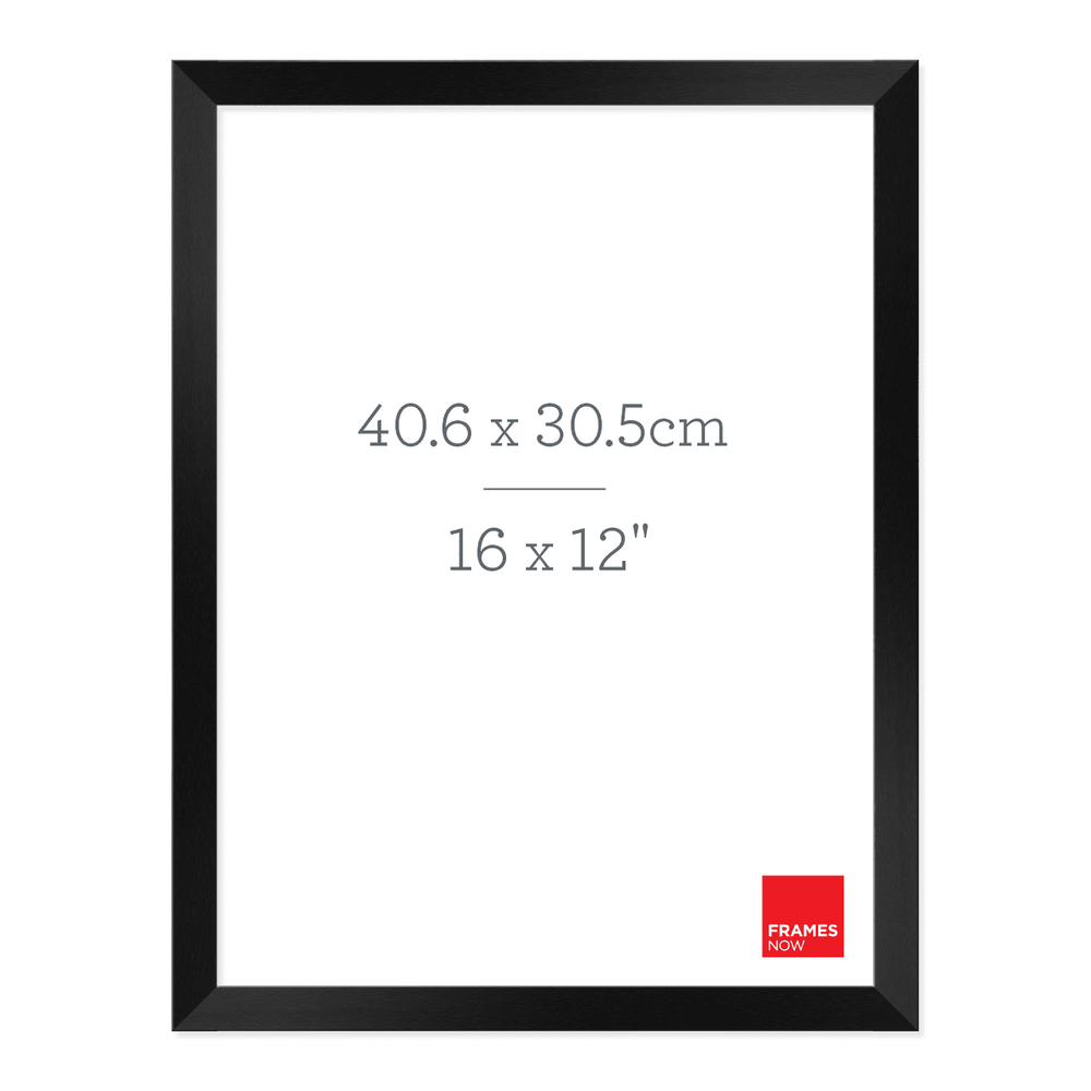Premium Matte Black Box Picture Frame for 40.6 x 30.5cm Artwork