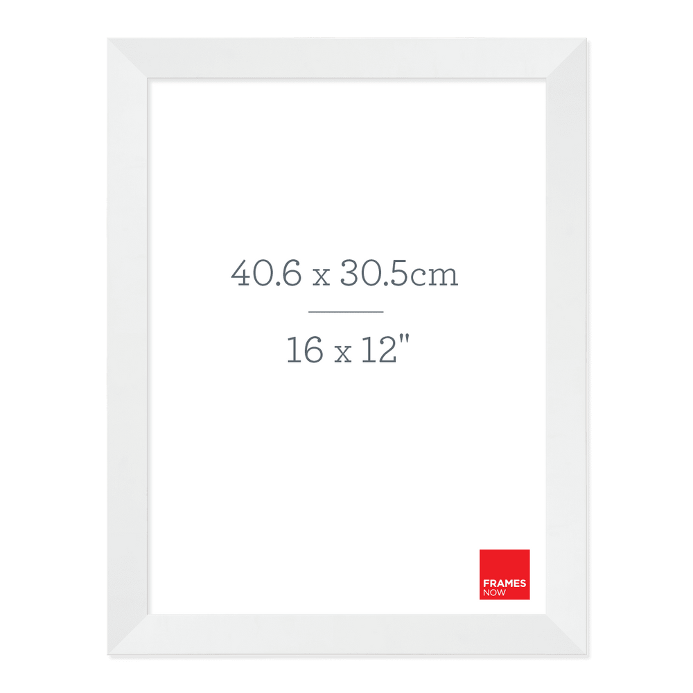 Premium Matte White Picture Frame for 40.6 x 30.5cm Artwork