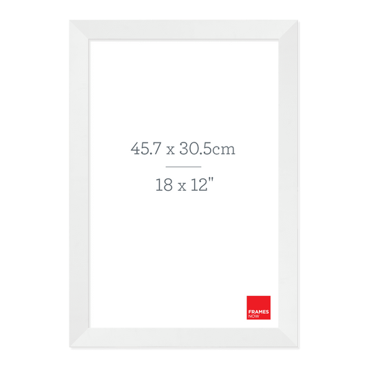 Premium Matte White Picture Frame for 45.7 x 30.5cm Artwork