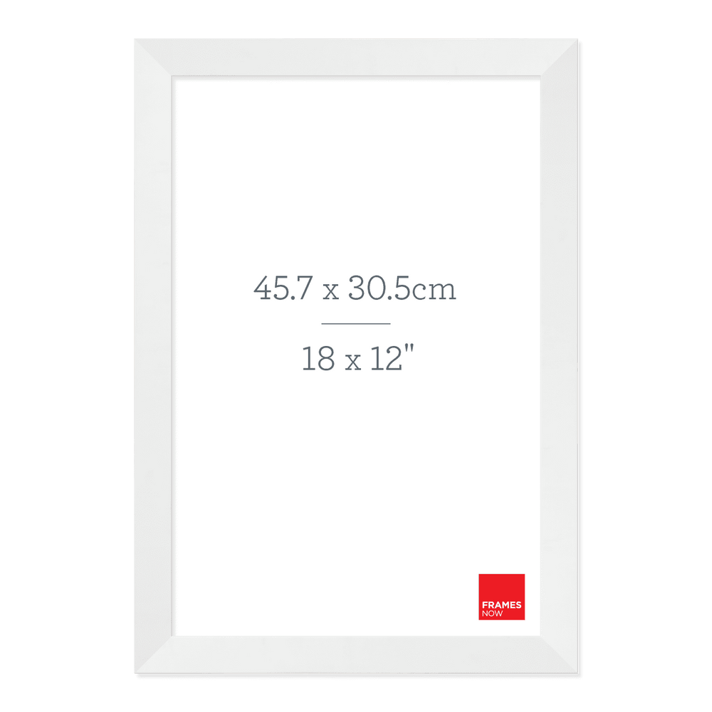 Premium Matte White Picture Frame for 45.7 x 30.5cm Artwork