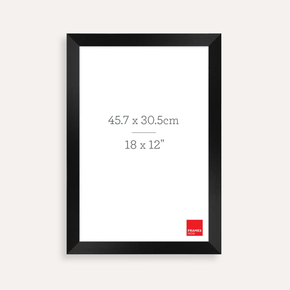 Premium Black Timber Finish Picture Frame for 45.7 x 30.5cm Artwork