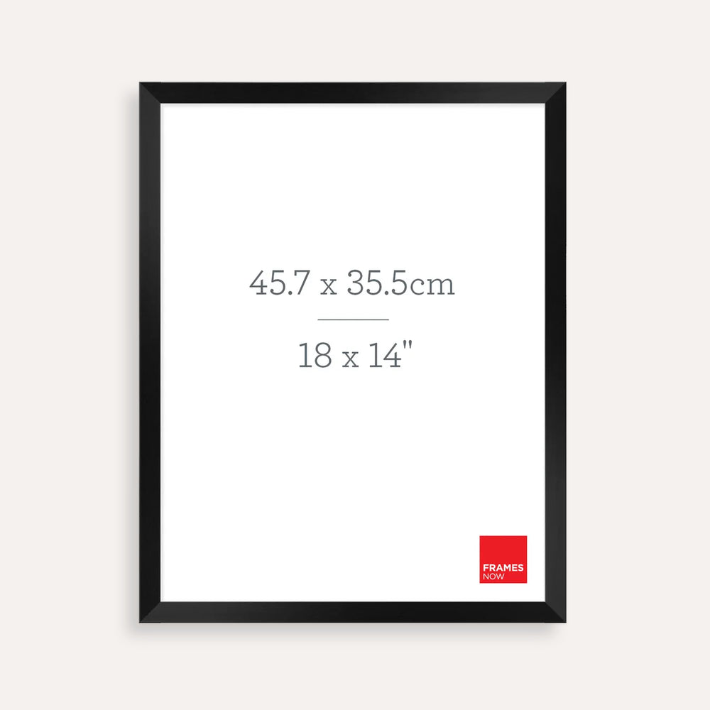 Premium Matte Black Box Picture Frame For 45.7 x 35.5 cm Artwork