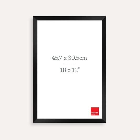 Premium Matte Black Box Picture Frame for 45.7 x 30.5cm Artwork