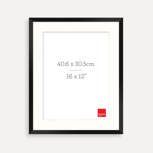 Premium Matte Black Box Picture Frame with Matboard for 40.6 x 30.5cm Artwork