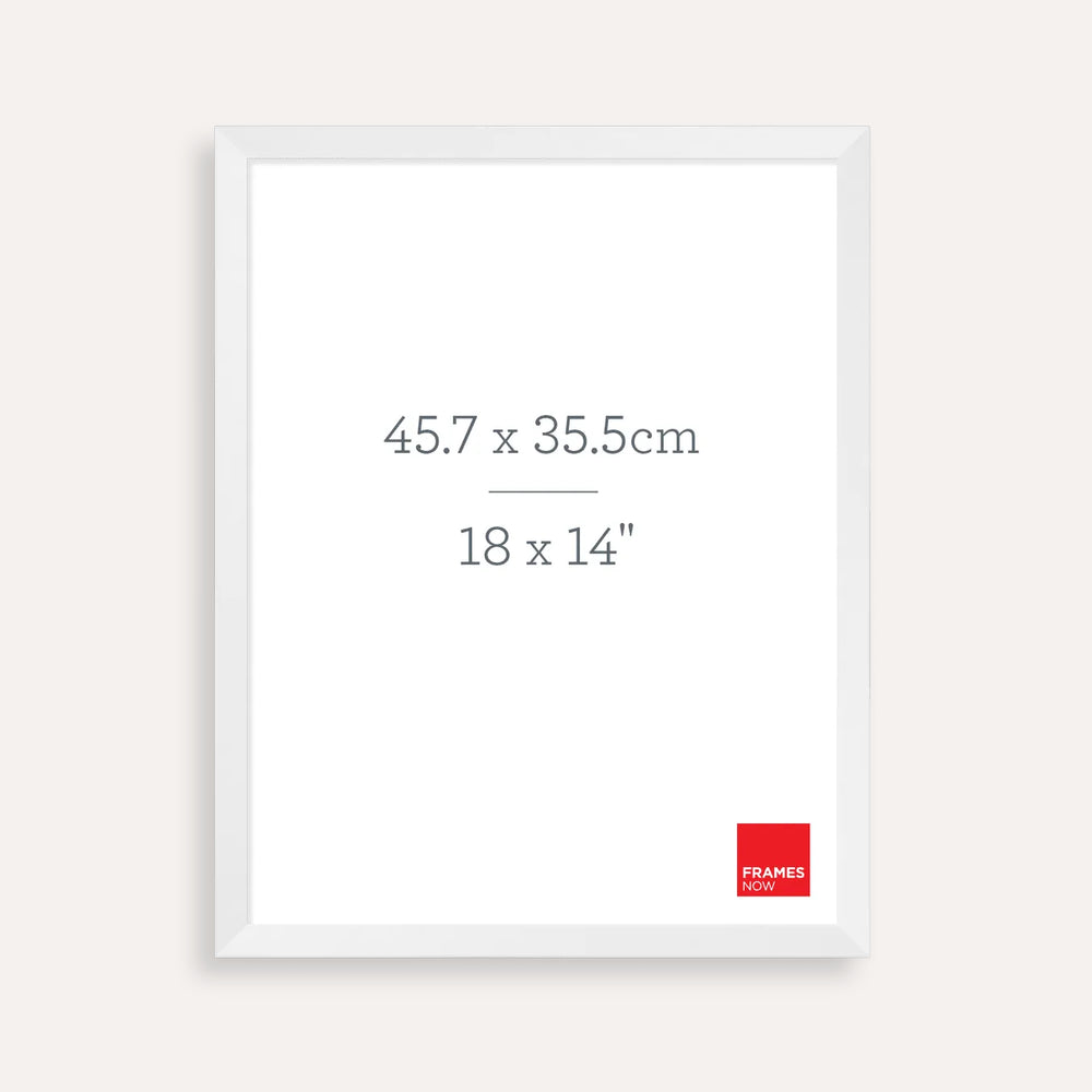 Premium Matte White Box Picture Frame for 45.7 x 35.5cm Artwork