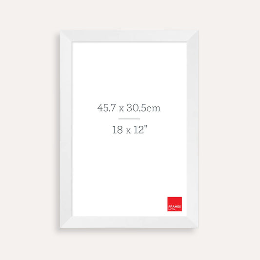 Premium Matte White Picture Frame for 45.7 x 30.5cm Artwork