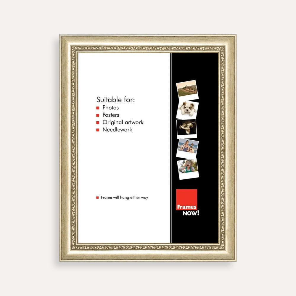 Premium Ornate Silver Picture Frame for 76.2 x 50.8cm Artwork